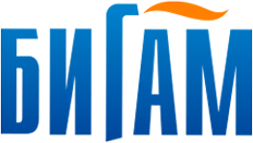 Бигам Бигам